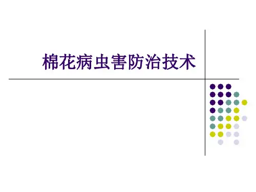 棉花病虫害防治技术