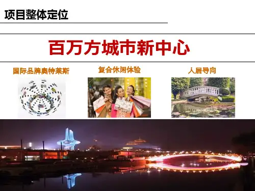 年济南鲁商项目市场定位报告资料