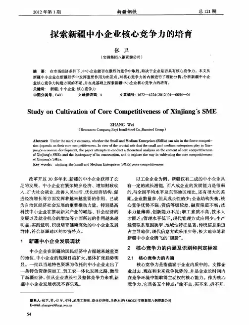 探索新疆中小企业核心竞争力的培育