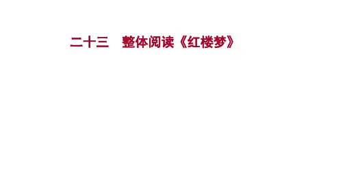 2022版新高考语文一轮练习课件：专题集训 二十三 整体阅读《红楼梦》 