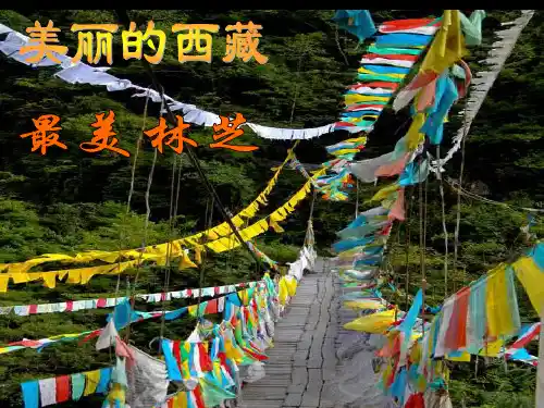 林芝介绍.ppt