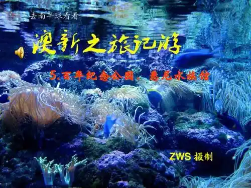 澳新之旅记游(5)百年纪念公园、悉尼水族馆