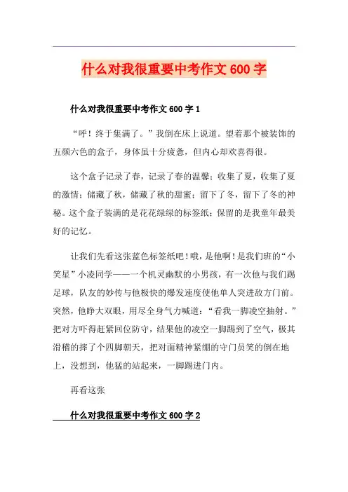 什么对我很重要中考作文600字