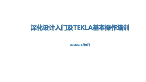 深化入门及TEKLA基本操作
