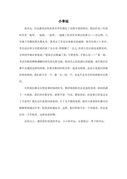 小幸运_初中初三作文450字