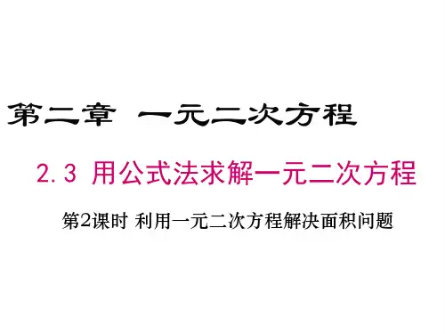 2.3 第2课时 利用一元二次方程解决面积问题