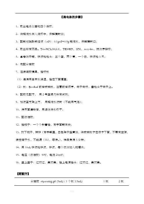 SDS聚丙烯酰胺凝胶电泳步骤