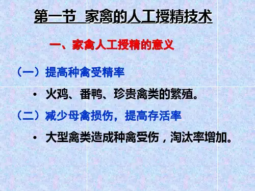 家禽的人工授精