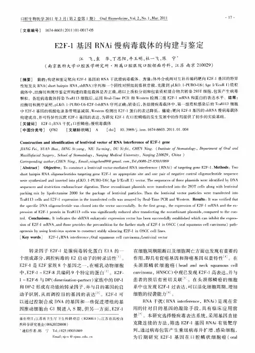E2F-1基因RNAi慢病毒载体的构建与鉴定