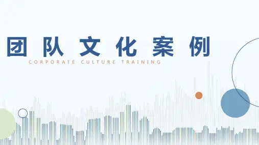 团队文化案例