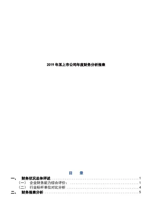 2019年某上市公司年度财务分析报表