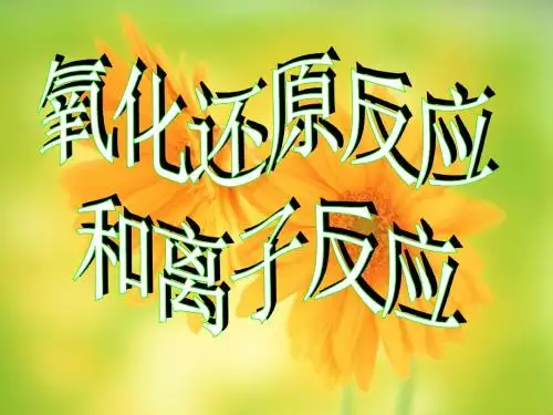 化学氧化还原反应和离子反应复习
