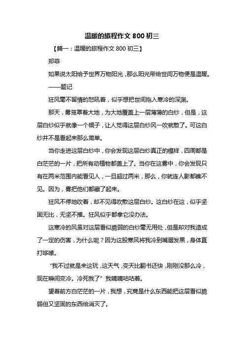 初三作文：温暖的旅程作文800初三