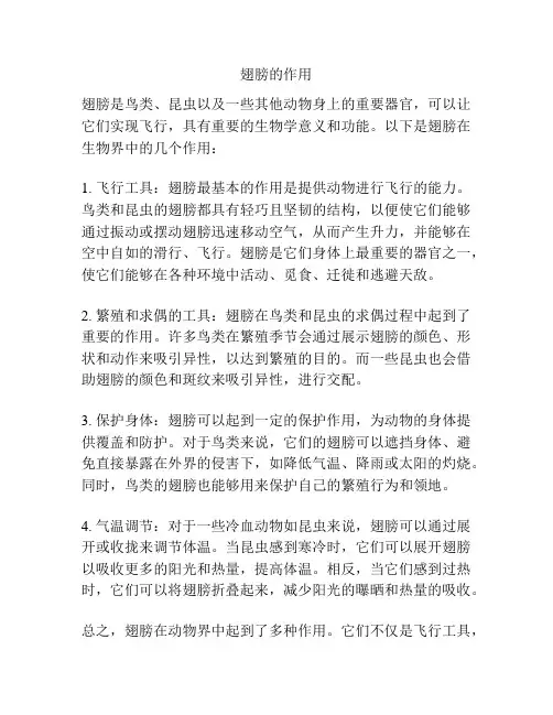 翅膀的作用