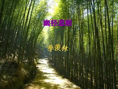 《幽径悲剧》PPT课件