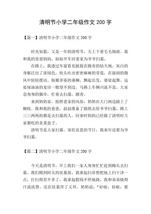 清明节小学二年级作文200字