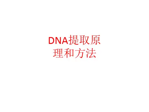 [课件]DNA提取原理和方法PPT