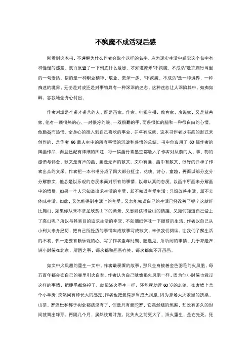 不疯魔不成活观后感