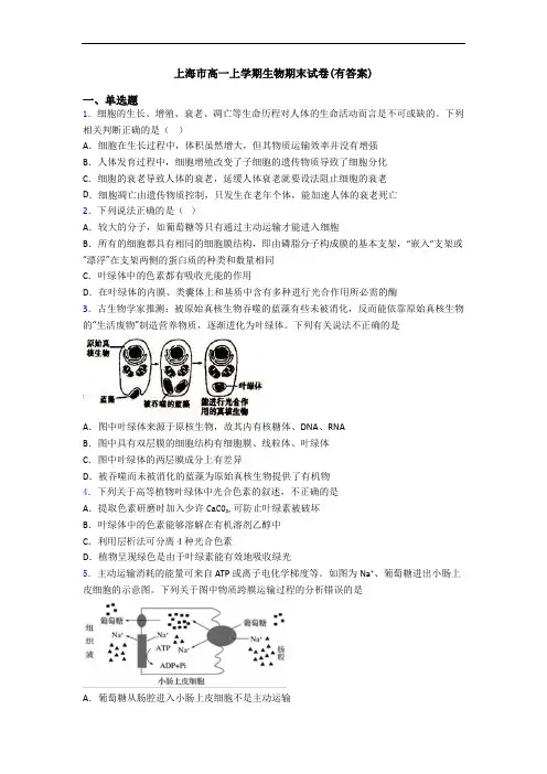 上海市高一上学期生物期末试卷(有答案)