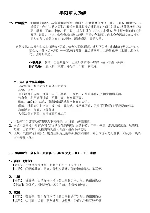 手阳明大肠经 2