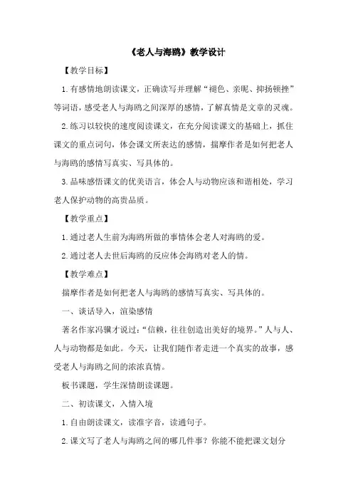 《老人与海鸥》教学设计