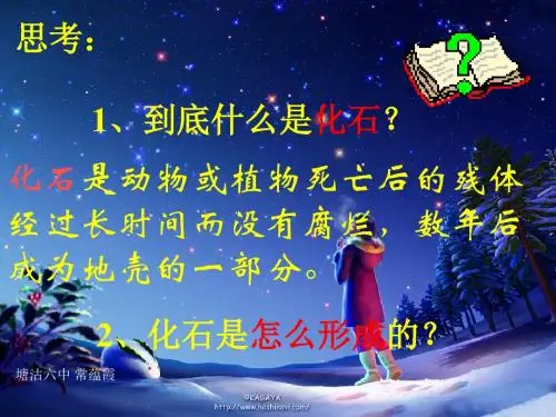 化石吟PPT课件92 人教版 (共43张PPT)