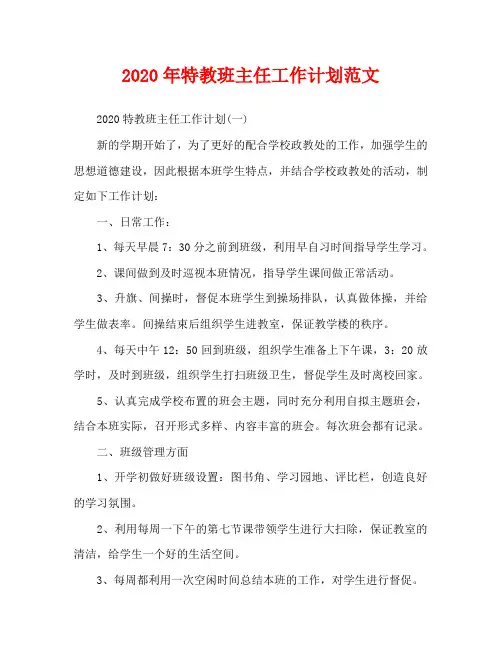 2020年特教班主任工作计划范文