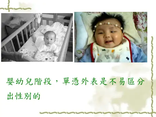 性别刻板印象之形成
