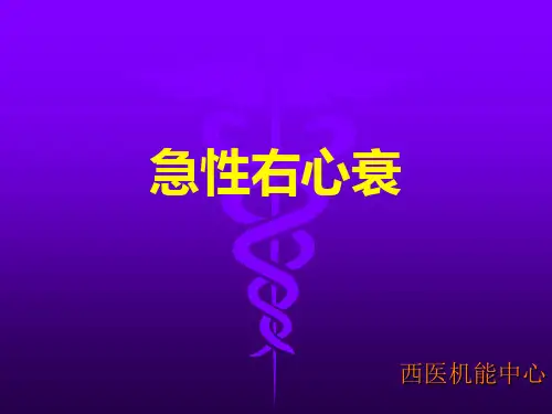 家兔手术技能训练