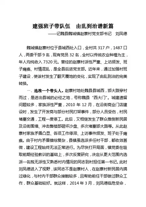 刘事迹材料