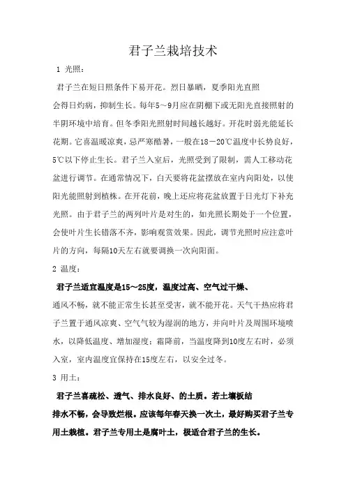 君子兰栽培技术