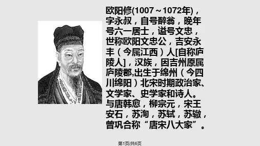 范仲淹有志于天下PPT课件