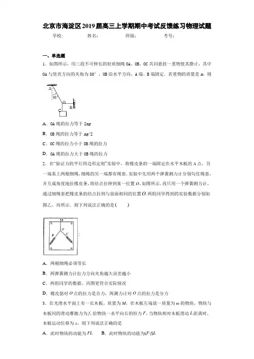 北京市海淀区2021届高三上学期期中考试反馈练习物理试题