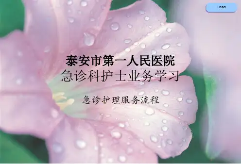 急诊科护理服务流程