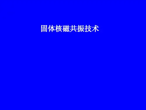 固体核磁共振技术