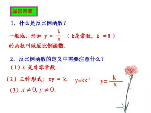 2014新人教版_九年级数学下_26.1.2反比例函数_的图象与性质(1)