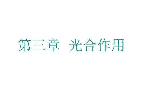 高二生物光合作用