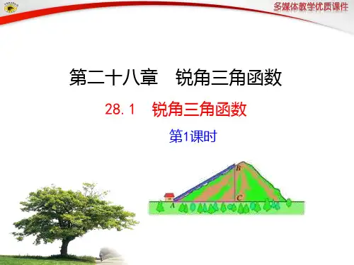 锐角三角函数 正弦PPT课件