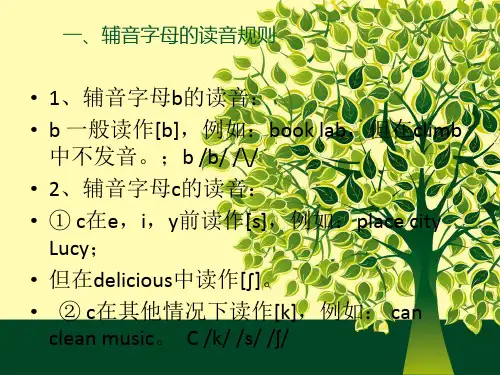 辅音和辅音字母组合发音规则PPT