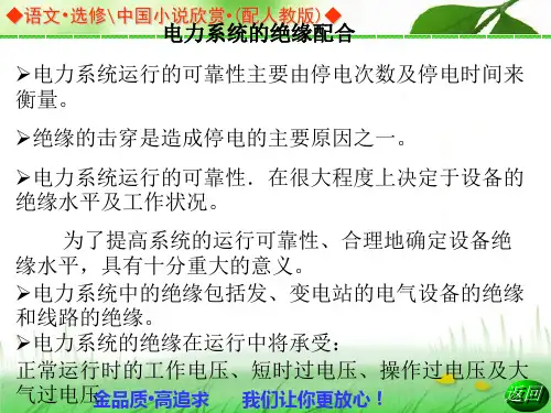 电力系统的绝缘配合