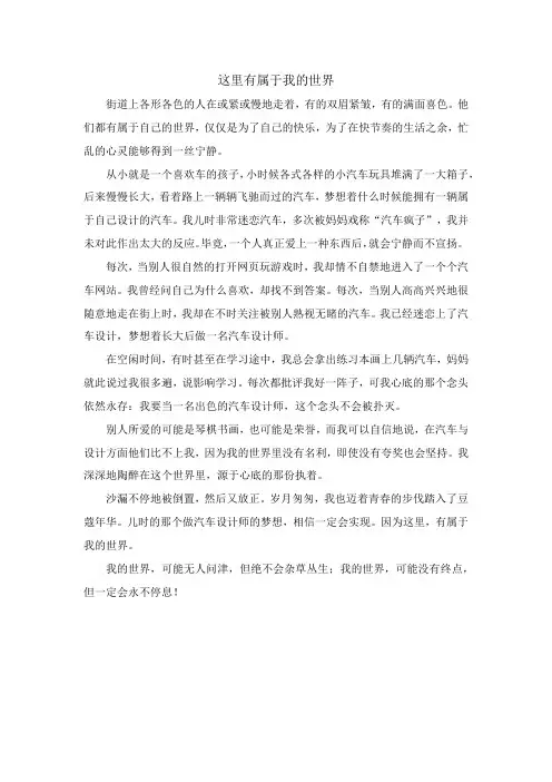 这里有属于我的世界