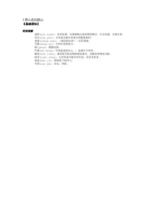 5 爬山虎的脚(1)