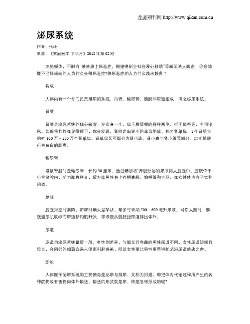 泌尿系统
