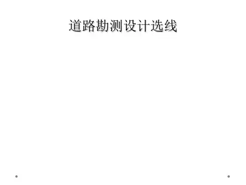 道路勘测设计选线
