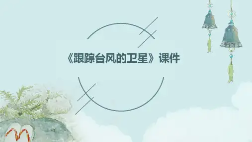 《跟踪台风的卫星》课件