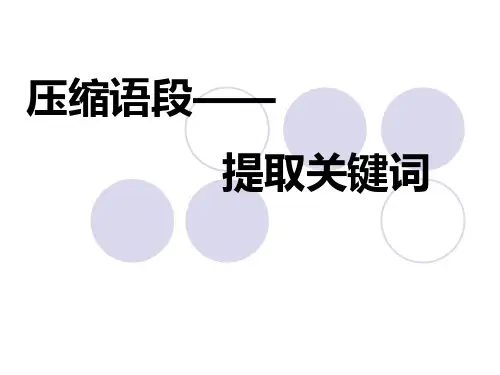 压缩专题——提取关键词