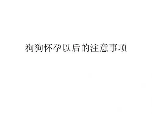 狗狗怀孕注意事项