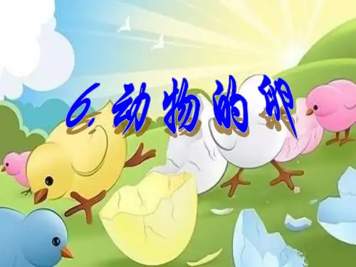 四年级下 动物的卵教科版实用PPT (共43张PPT)