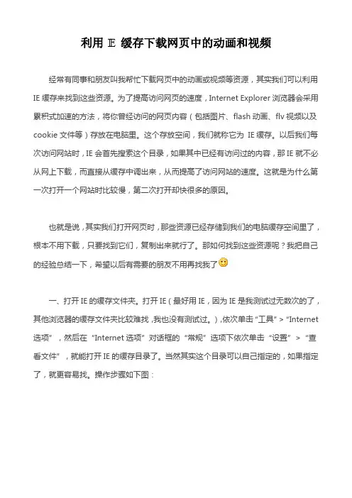利用IE缓存下载网页中的动画和视频
