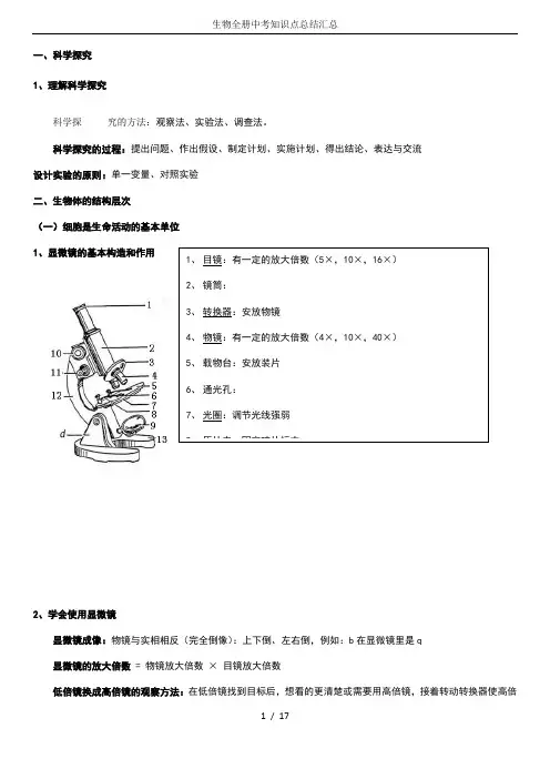 生物全册中考知识点总结汇总